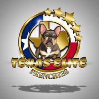texaselitefrenchies