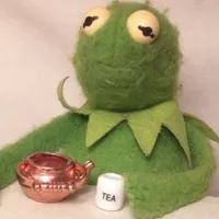 Its not just a boulder its a rock