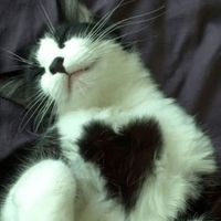poemsforlovee