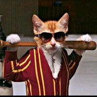 오리지널 사운드