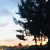 Lost in love from MC magic