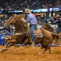 averagecowboylifestyle