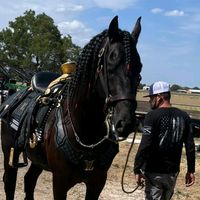 juanfuentesranchof