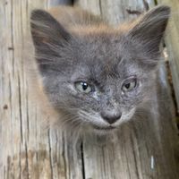 mistysrecoveryadventures