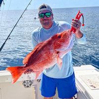 Mossy oaks swamp bottom