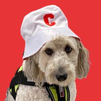 the.canton.connection