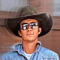 the_cowboyshollar