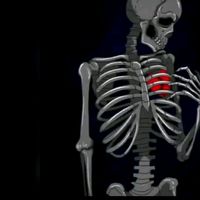 joseangel_sotogodoy31