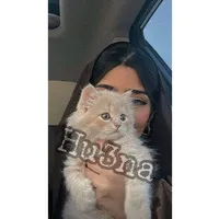 original sound - 00_.hu3na._00