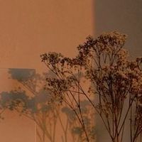 3ditsformyobs3ssions