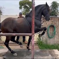 gabrielgarcia30490