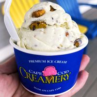 capecodcreamery