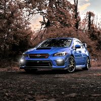 bluepearl.sti