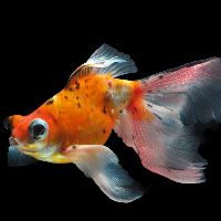 aquariumequip