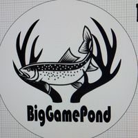 biggamepond