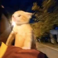 original sound - inluvwkirby