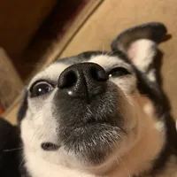 original sound - beautifulvanillaman