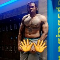 kooly_pawdojo_fitness