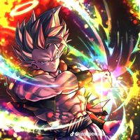 roger_1331