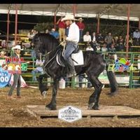 leonelsolorzano282