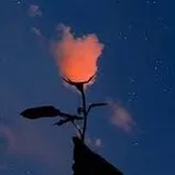Dumb dumb sped up