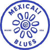 mexicalibluesnewcastle