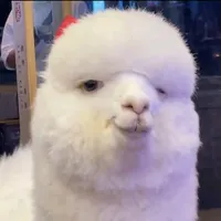 original sound - mememondayyy