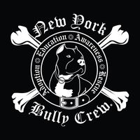 nybullycrew