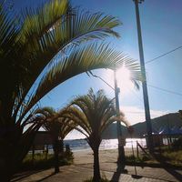 iluaz