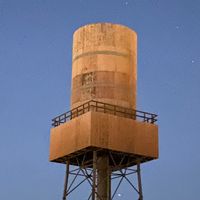 no.1dylandeynchaustifan