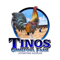 tinos_gf