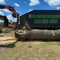 dombrowskitreeservice