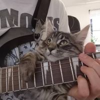 original sound
