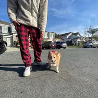 everything works out in the end kodaline