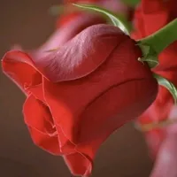 original sound - myheart_1121