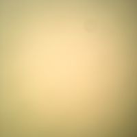 lilciap3