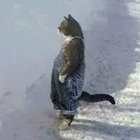 original sound - seazynn