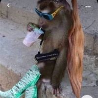 eredeti hang