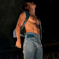 harrys.styles0