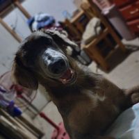 orianalozano23