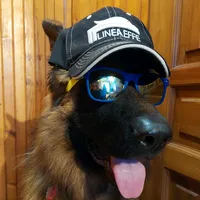 original sound - dominqsx709