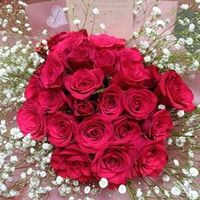 babita.royappen