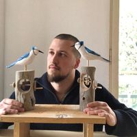 stoccafisso_production