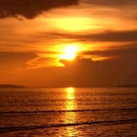 ricardofeitosa_oficial