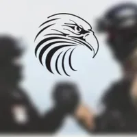 original sound - leader1iq