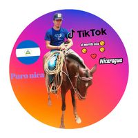 elmorrito.nica