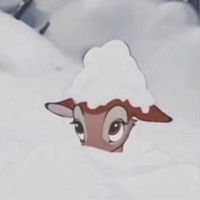 cozyjaszy