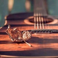 musicas.raiz3