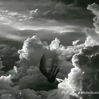 502.alvarado....b