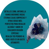 detalleszunilantonella